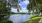 a body of water with trees around it