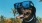 a dog wearing sunglasses