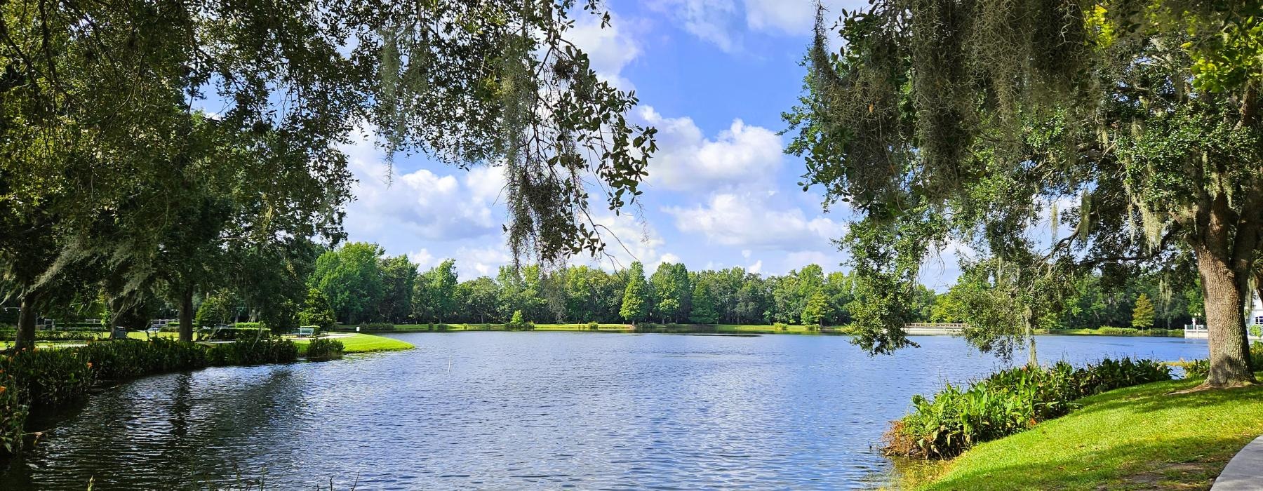 a body of water with trees around it