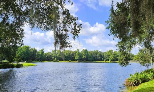 a body of water with trees around it