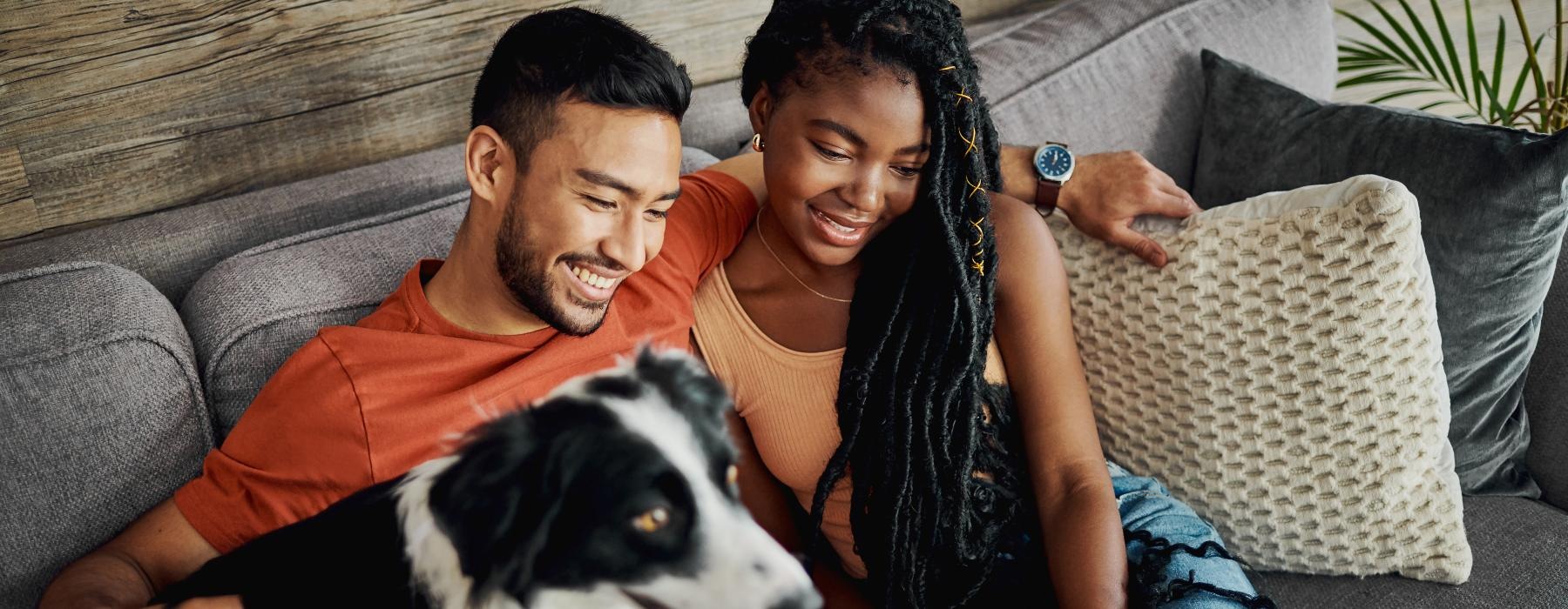 a man and woman sitting on a couch with a dog looking at a laptop